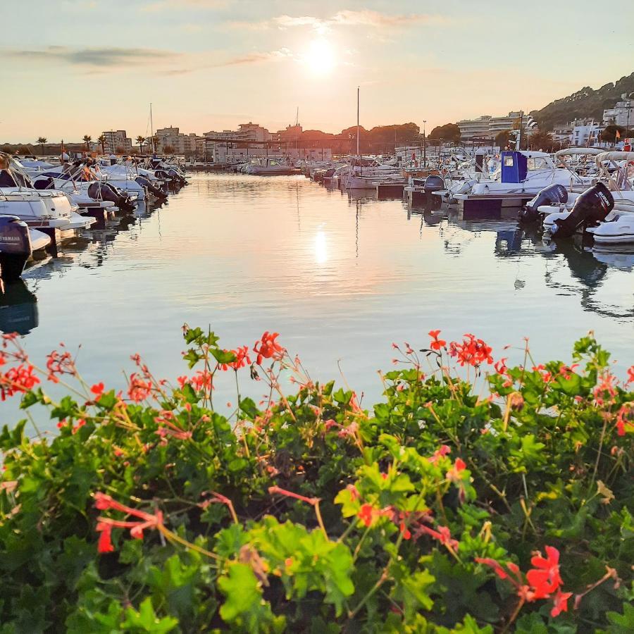 Seafront L'Estartit Roof Daire Dış mekan fotoğraf